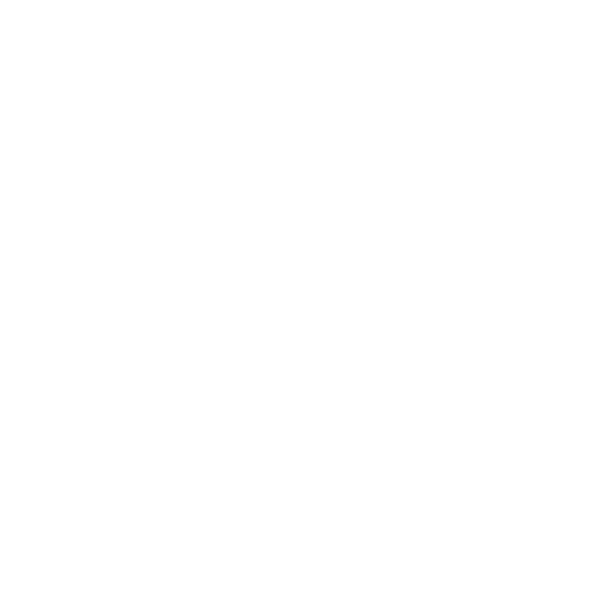 Bollweg & Partner GmbH